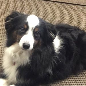 Meet your Posher, Michele